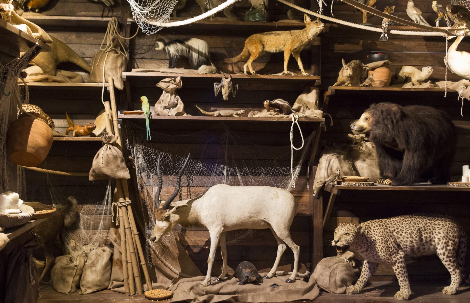 Taxidermist 